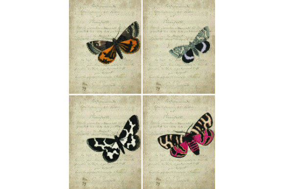 Music Sheets Butterflies Cards .3D.